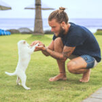 StockSnap_IZ83Q544MD