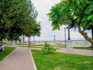 FB_IMG_1756229650492-300x226 Corrientes: la puerta cultural del Litoral