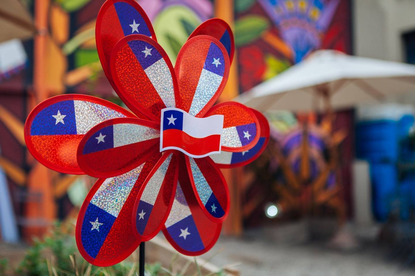 Foto gentileza Gobierno de Chile