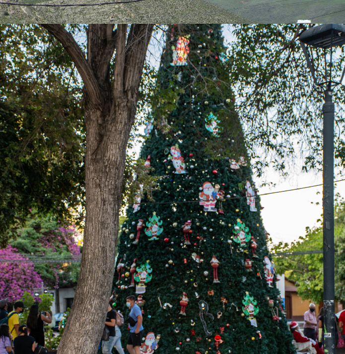 Árbol de Navidad de Buin Chile