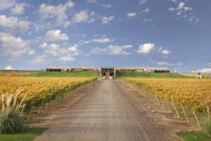 Bodega-Malma-300x200 Presentaron el vino orgánico y vegano de Bodega Malma