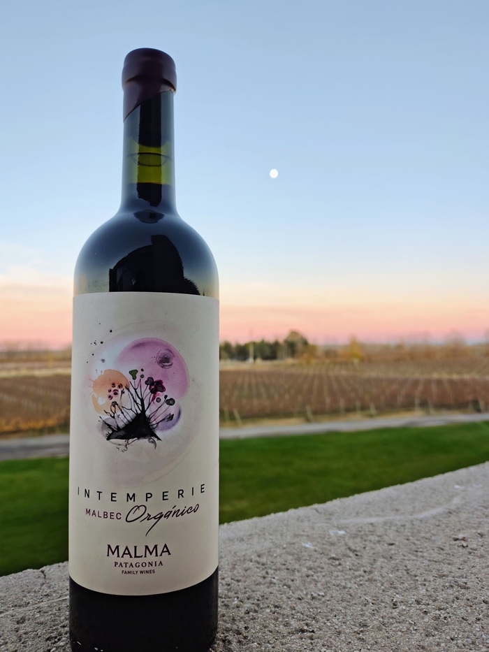 Intemperie Malbec Orgánico