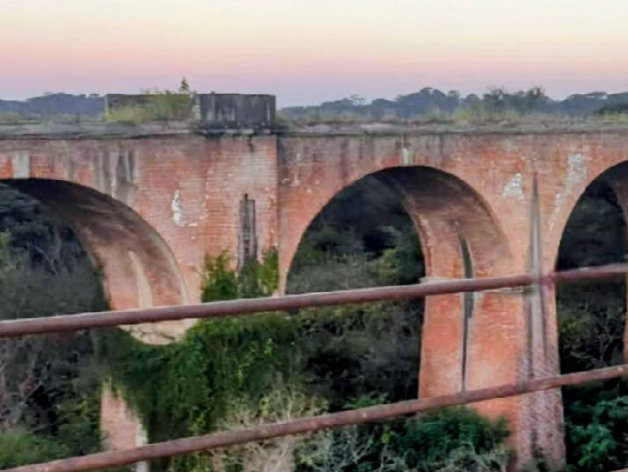 Viaducto El Saladillo (Foto Alfredo A. Medina)