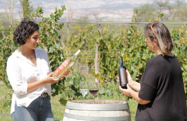 Vinos de Altura - Tucumán