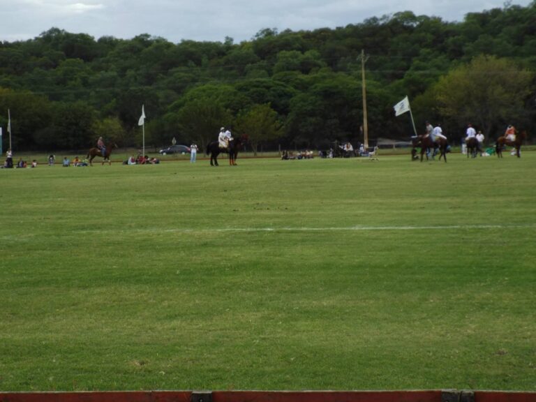 FB_IMG_1762914102086~3