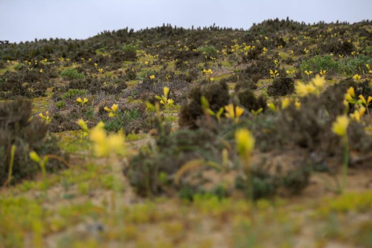 IMG-20251016-WA0313-768x512