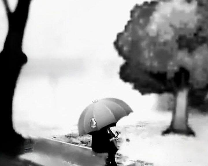 Día Internacional del Soltero