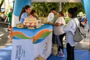 46° Fiesta Nacional del Canasto