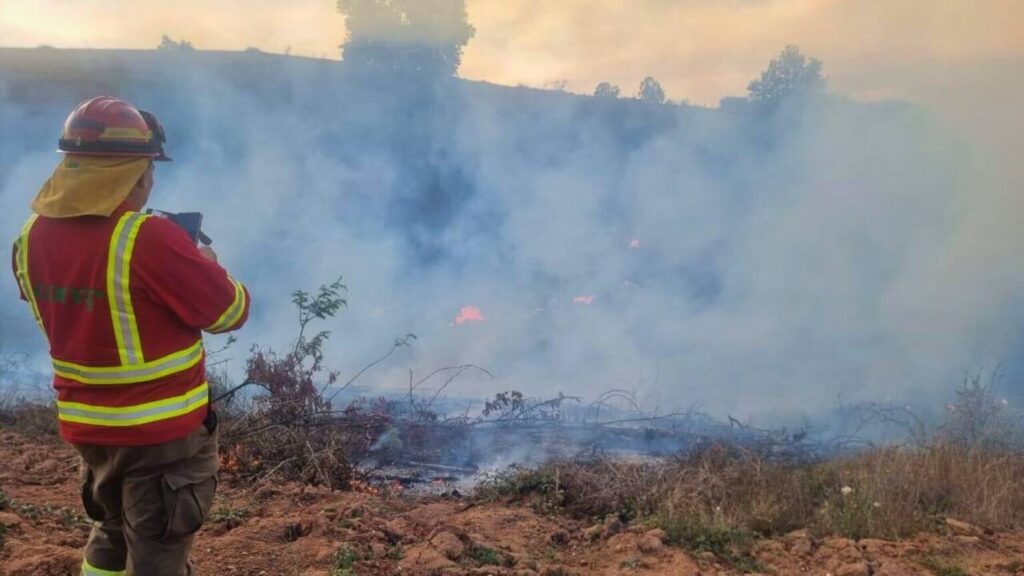 Incendios forestales, Chile