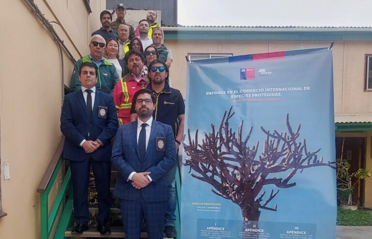 Arica refuerza la defensa del patrimonio natural