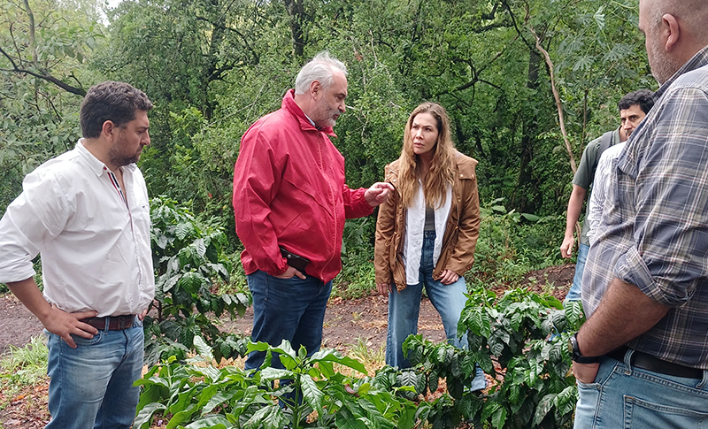 Para expertos colombianos el café tucumano tiene extraordinario potencial