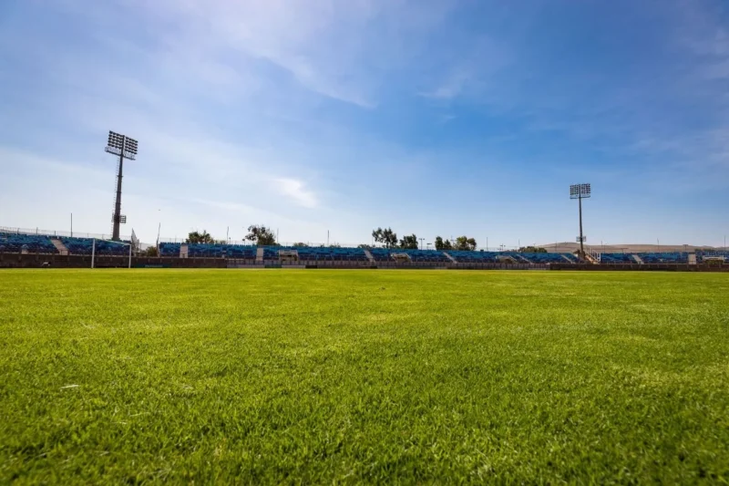 Estadio, Arica