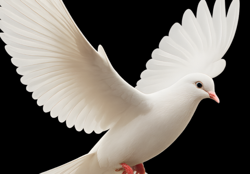 Día Mundial de la No Violencia y la Paz