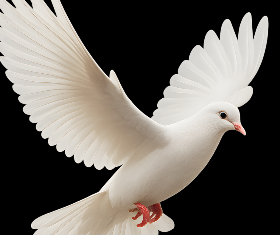 Día Mundial de la No Violencia y la Paz