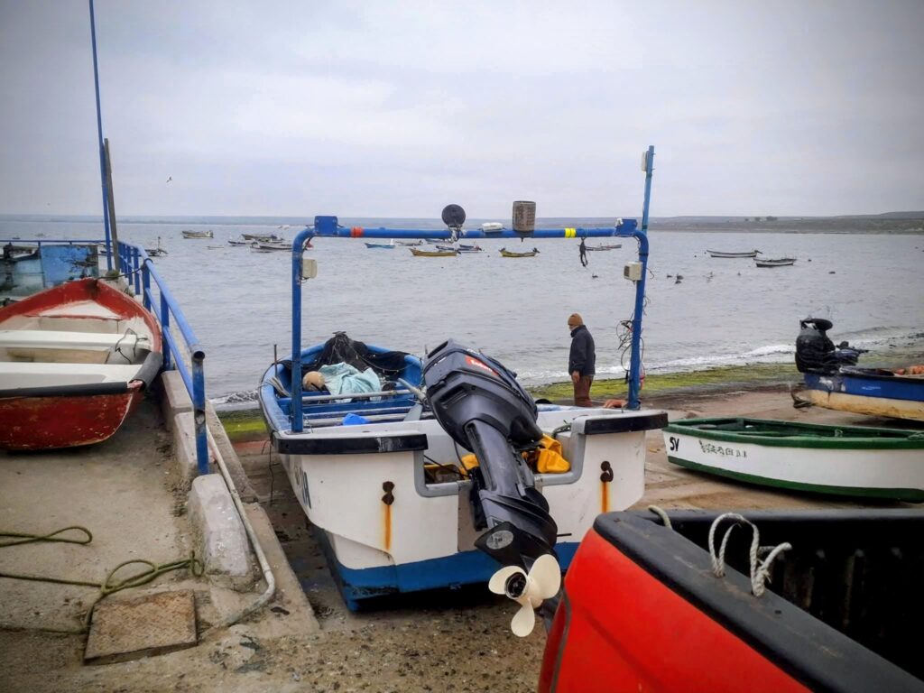 Marea roja en Tongoy, Chile