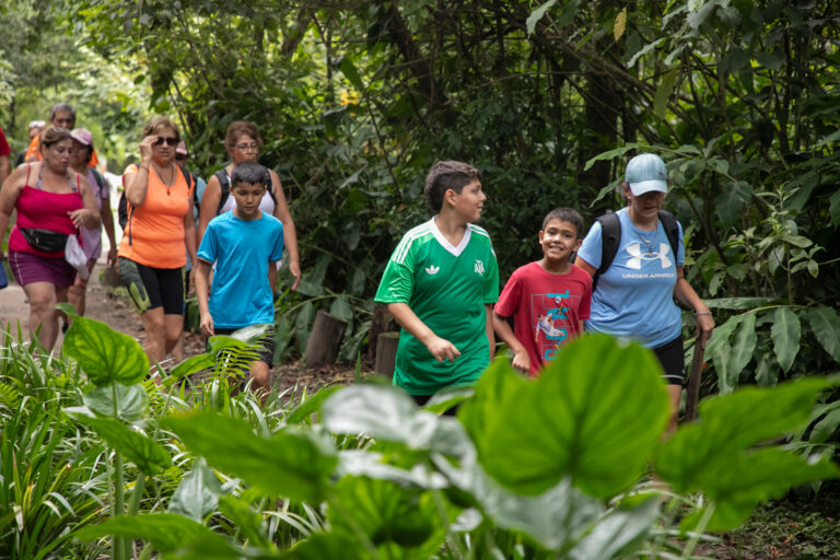 Actividades en Yerba Buena