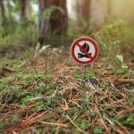 Ley de incendios forestales