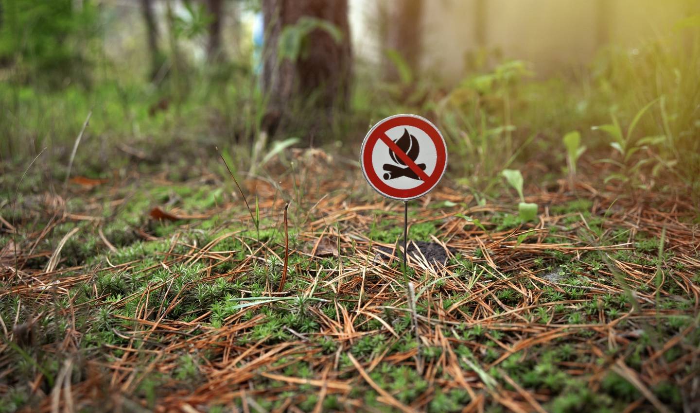 Ley de incendios forestales