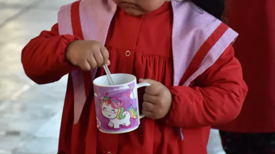 Copa de leche - Salta