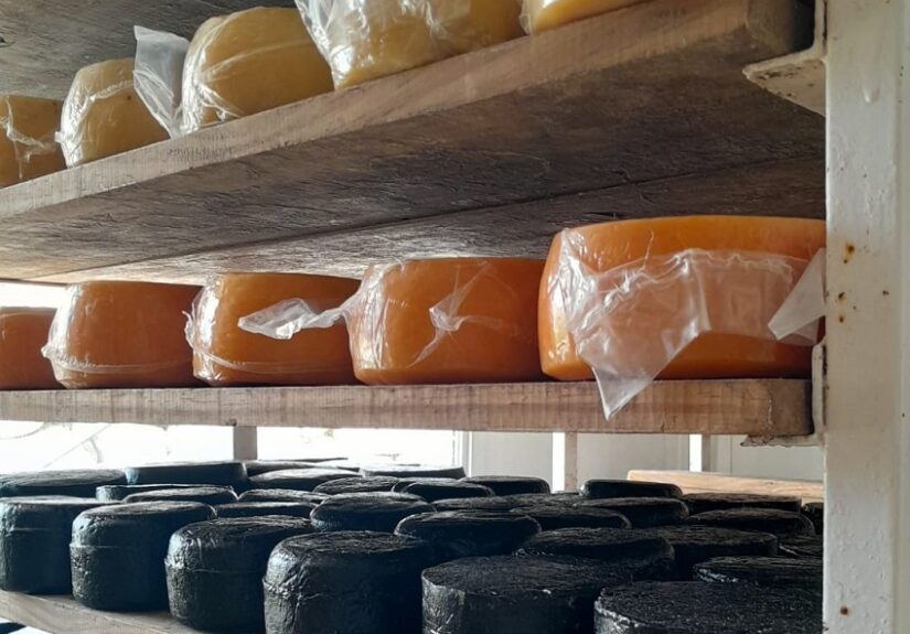 Quesos de Tafi del Valle Tucumán