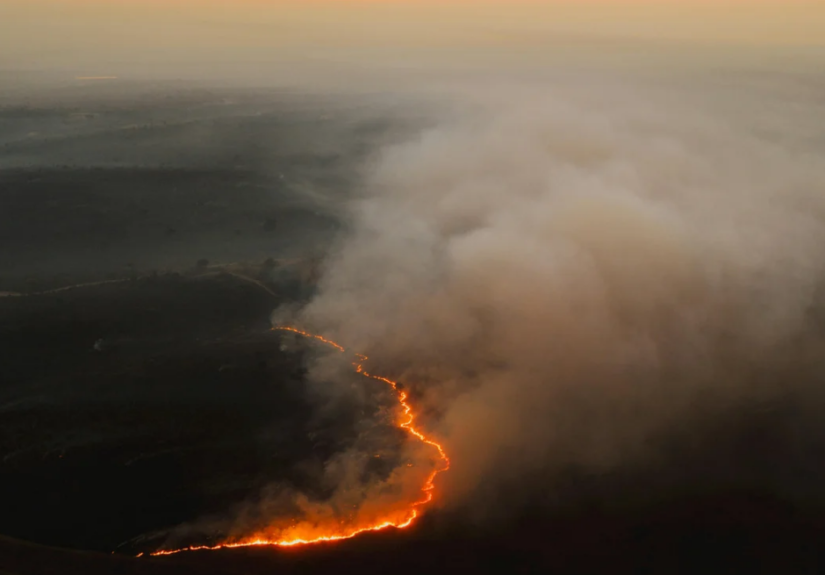 Incendios forestales
