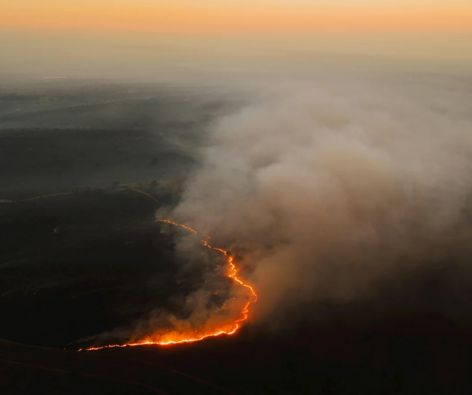 Incendios forestales