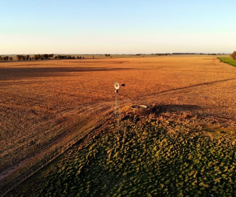 Campo argentino