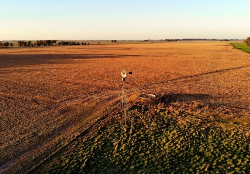 Campo argentino