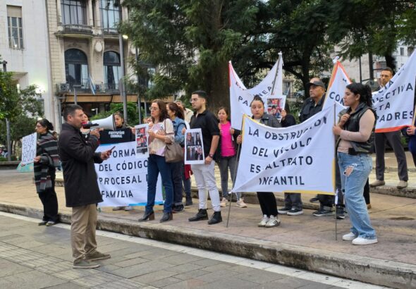 Marcha #SoyPapáNoCriminal