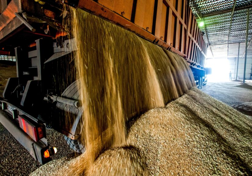 Precio de granos en Chile