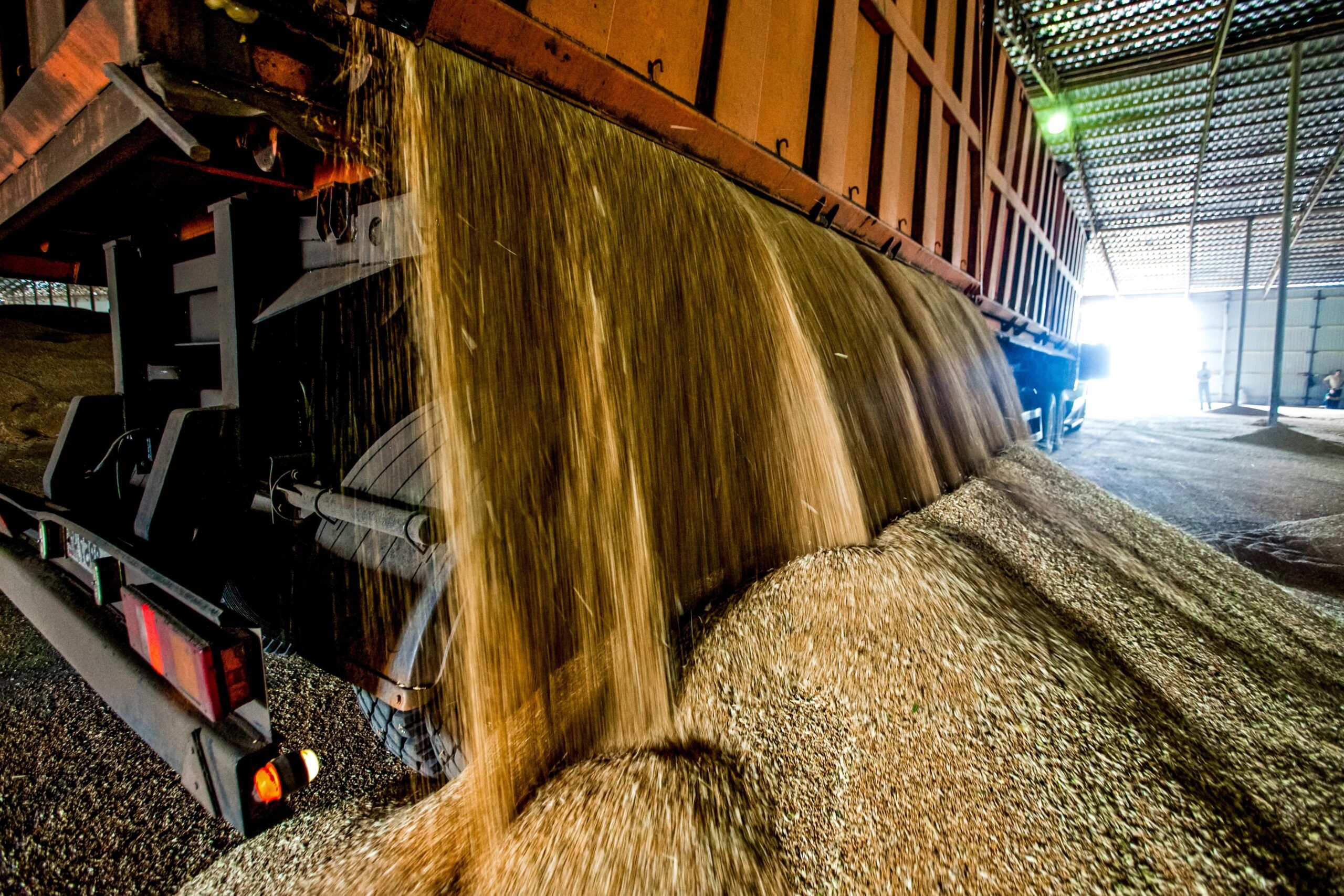 Precio de granos en Chile