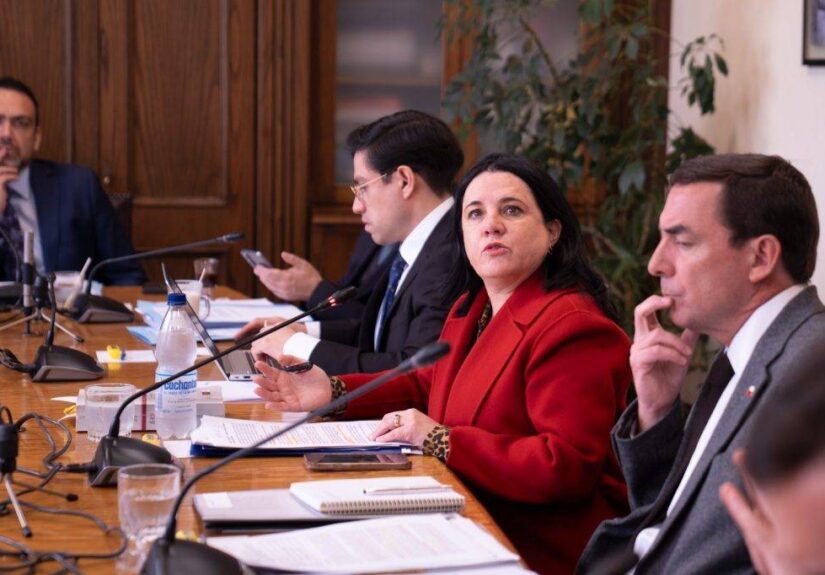 Ministra Steinert- Ley sin escape
